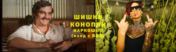 винт Аркадак
