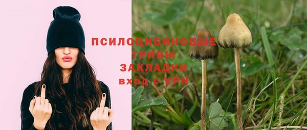 винт Аркадак