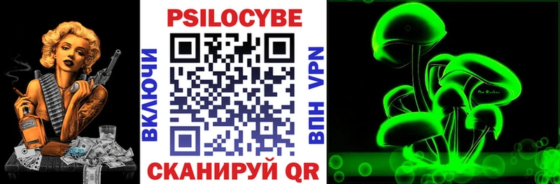 как найти закладки  Вихоревка  Псилоцибиновые грибы Psilocybine cubensis 